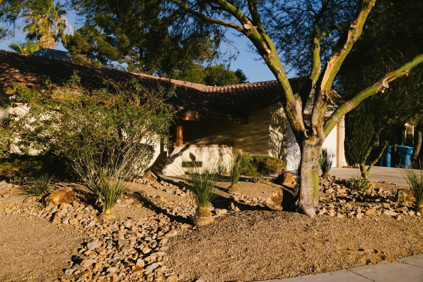 The Palms Home — photo 43