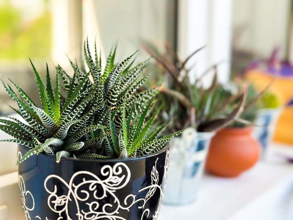 Property thumbnail 12