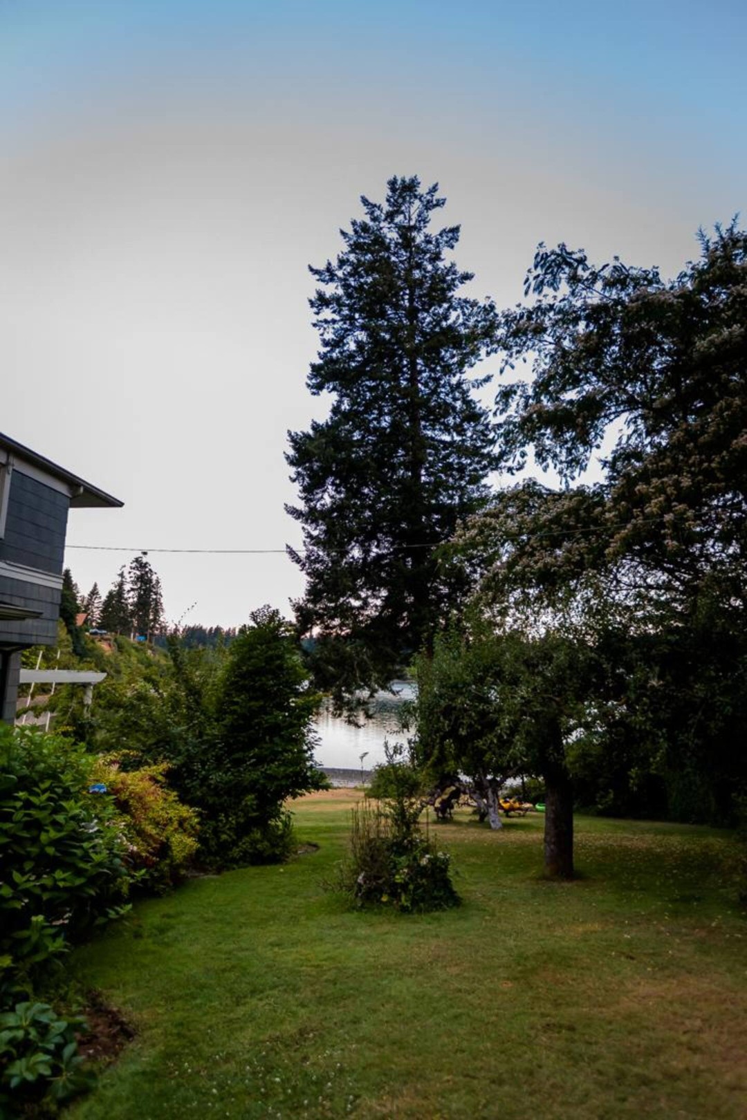 Wisteria Hollow Hideaway — photo 41