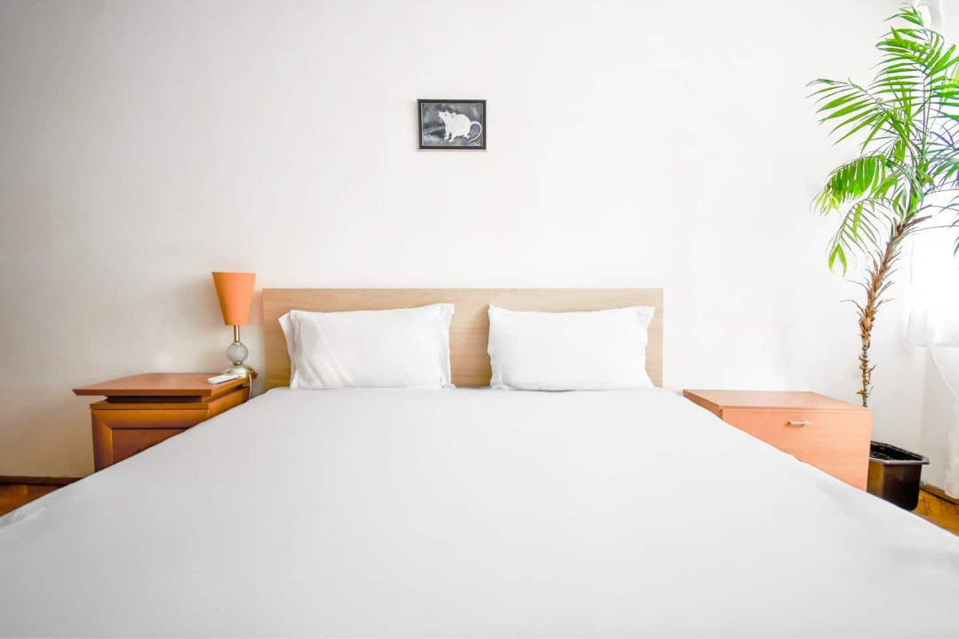 Property thumbnail 19