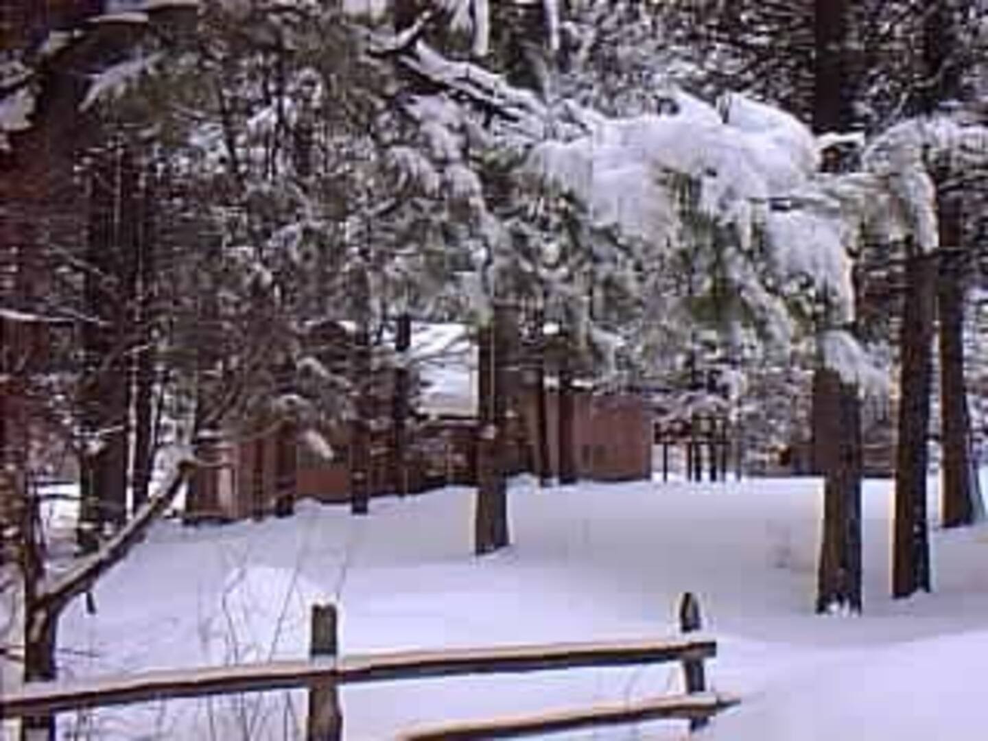 Mammoth Creek Cabin — photo 44