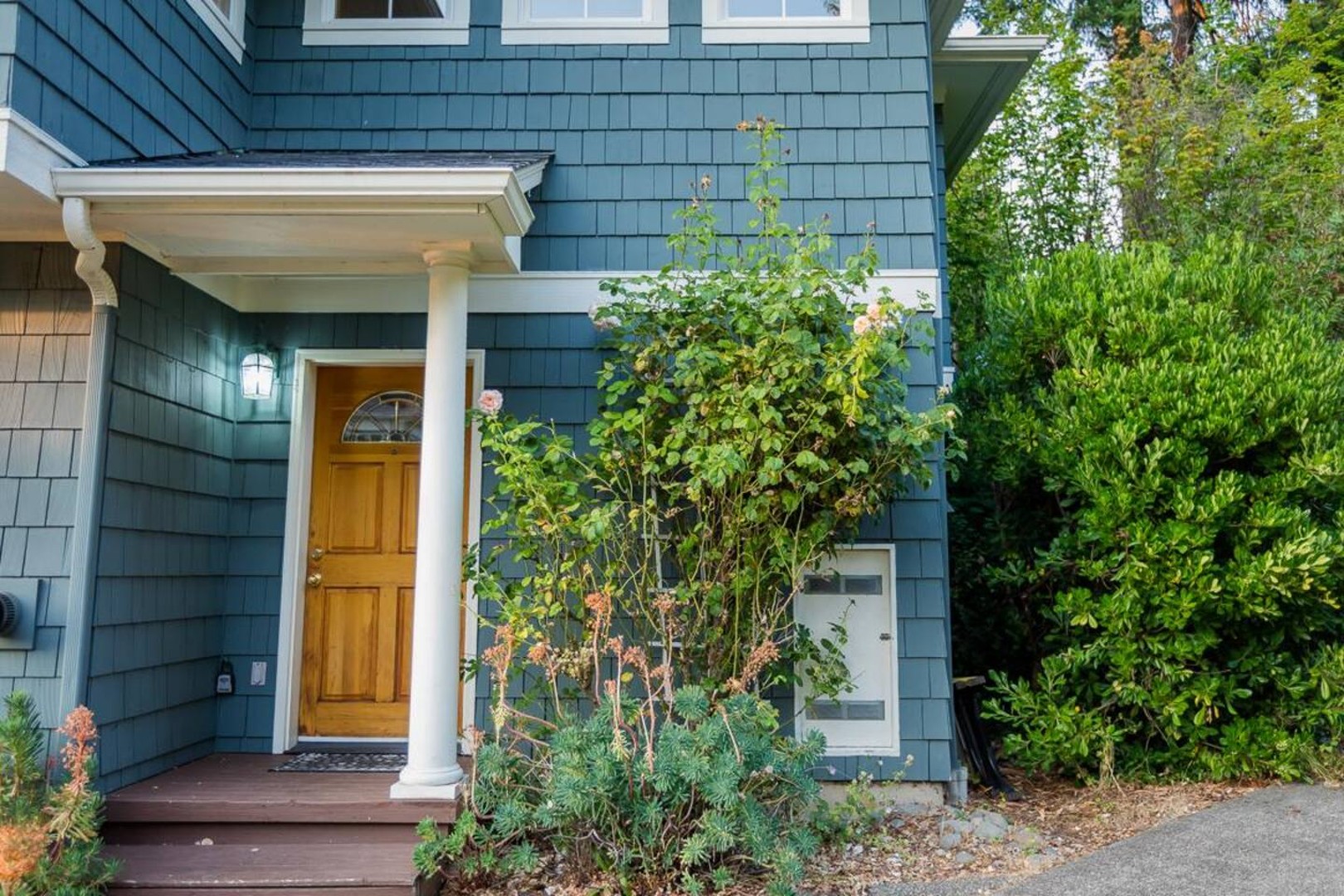Wisteria Hollow Cottage — photo 48
