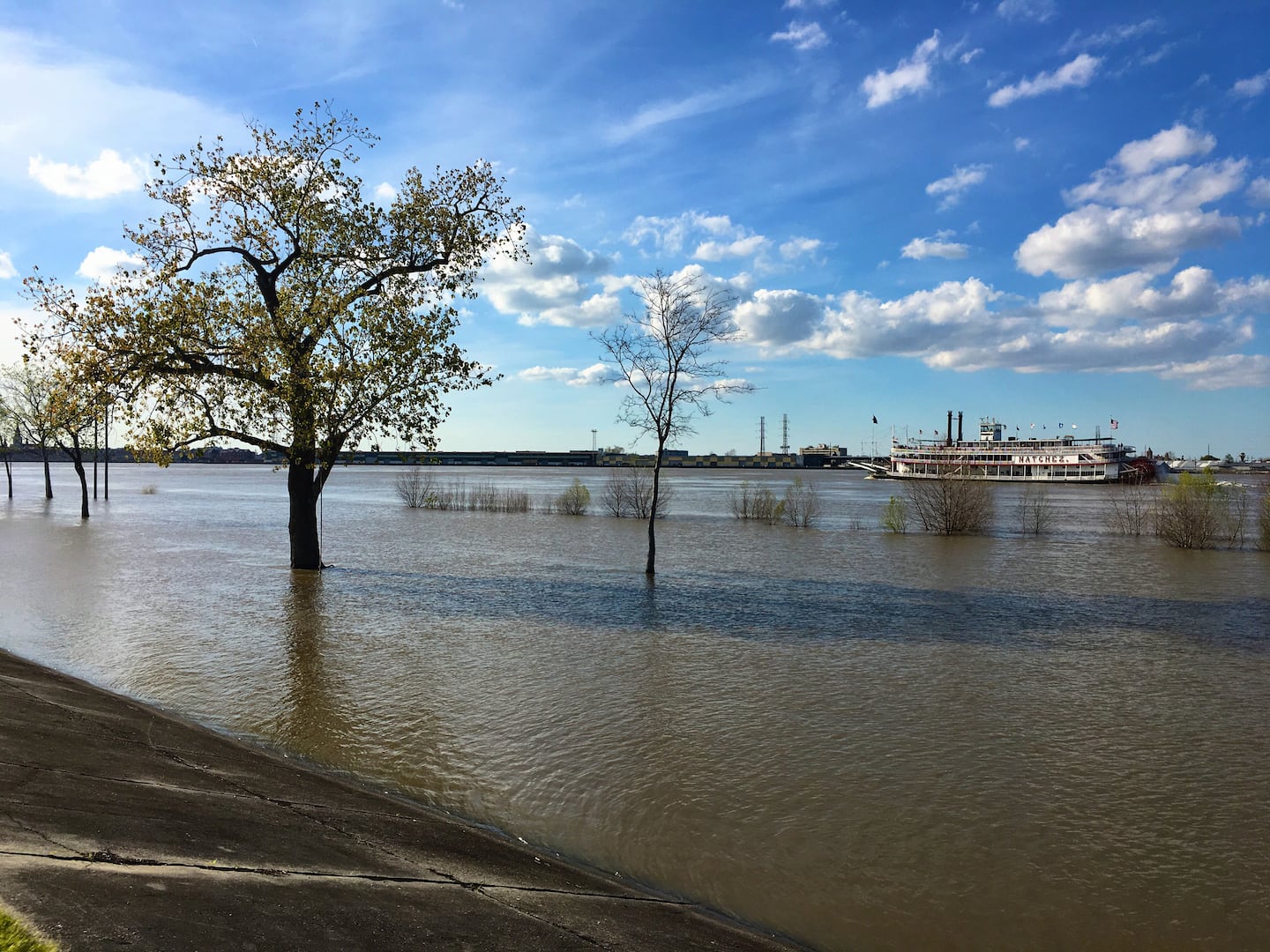 The Steamboat Natchez heading upriver seen from the Mississippi River levee. You can walk along the levee for miles. The river is about a 7-10 minute walk from the house.