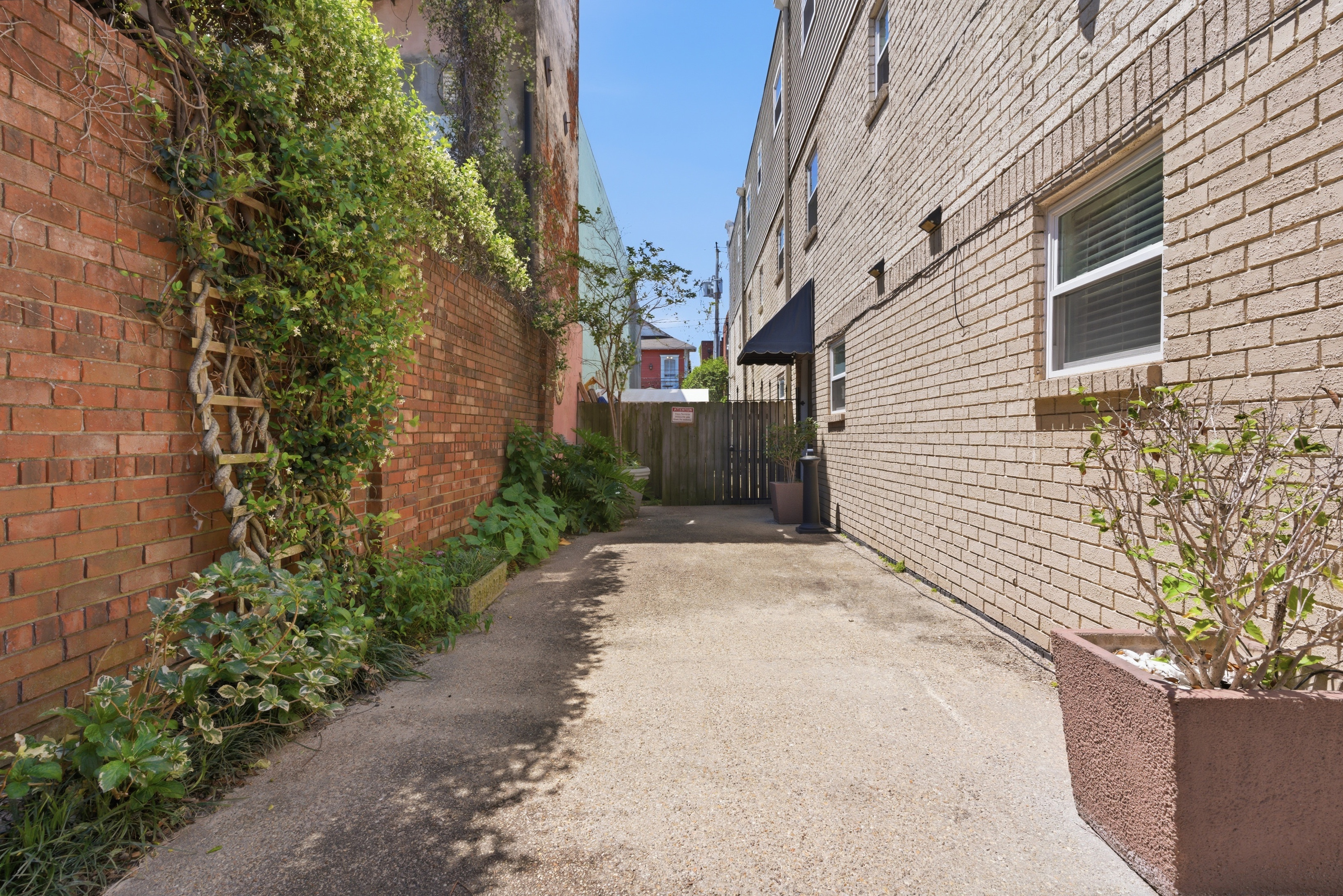 Quiet side path tucked just off the street