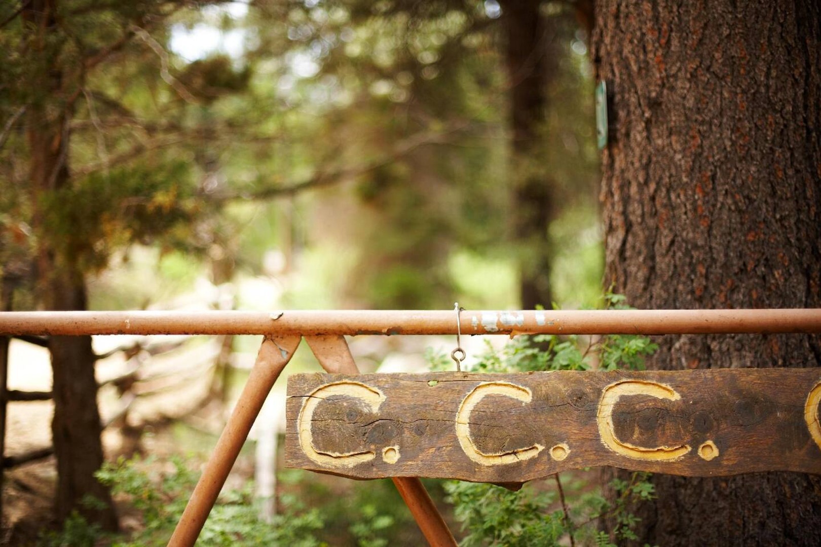 Mammoth Creek Cabin — photo 29