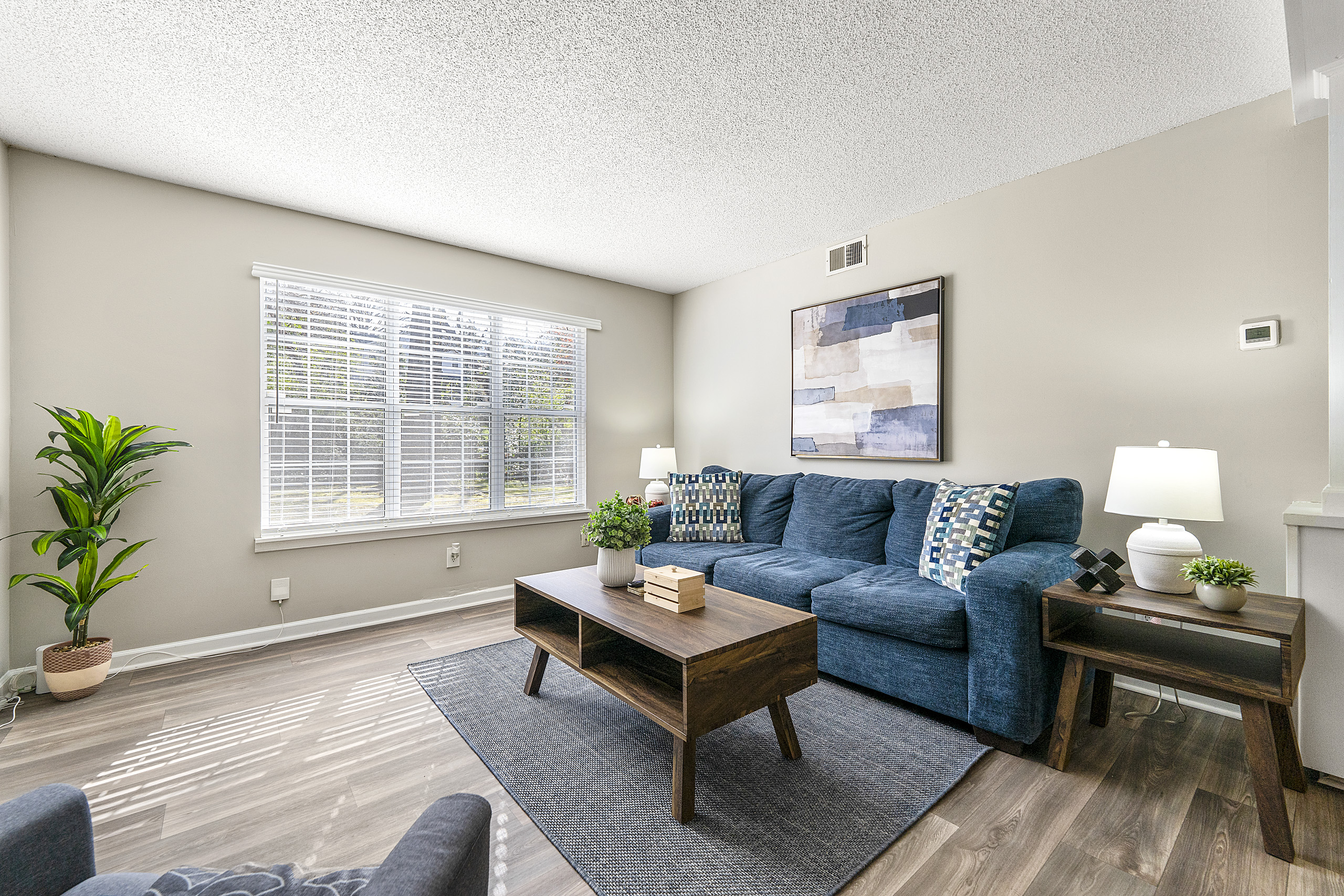 Spacious Apartment With Fast Wi-fi And Free Parking - Elegant Oasis - Buckhead, GA