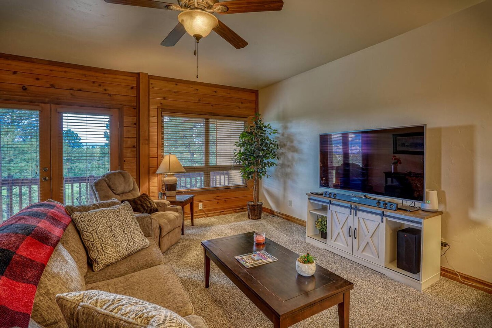 Living Area with TV