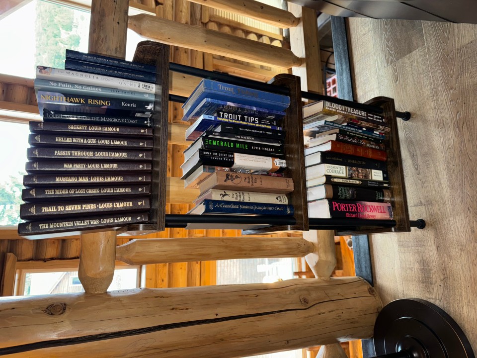 Mini Library and reading nook
