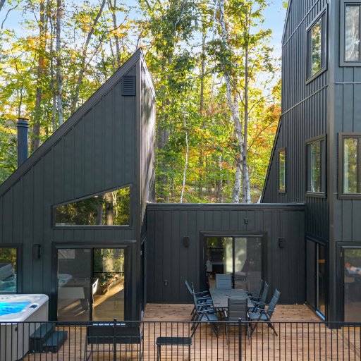 Modern A-frame exterior with sleek black siding
