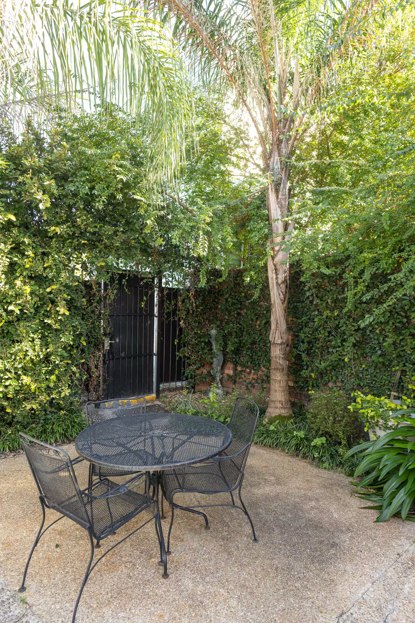 Quiet garden nook with lush greenery