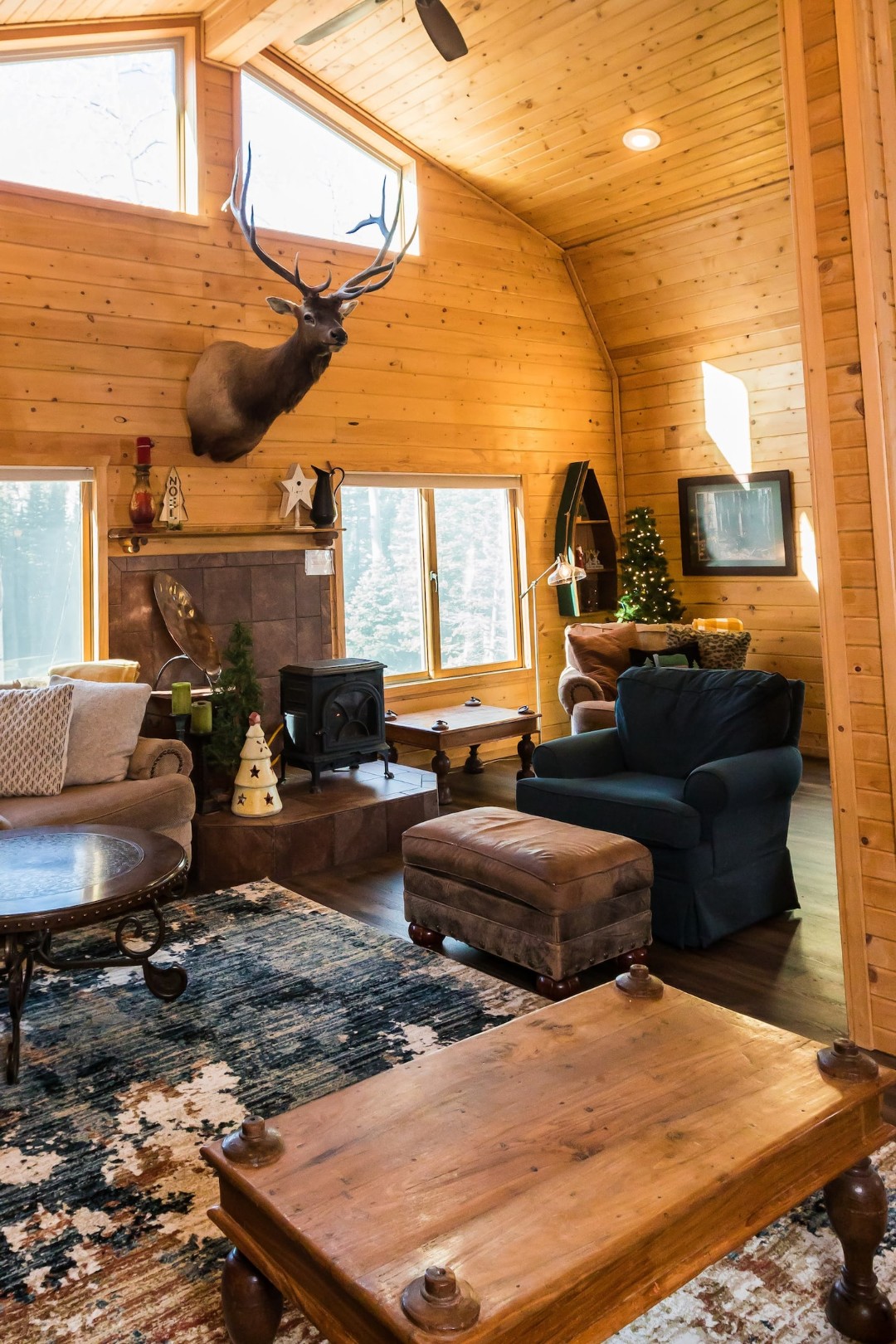 Brian Head Fir & Spruce — photo 72