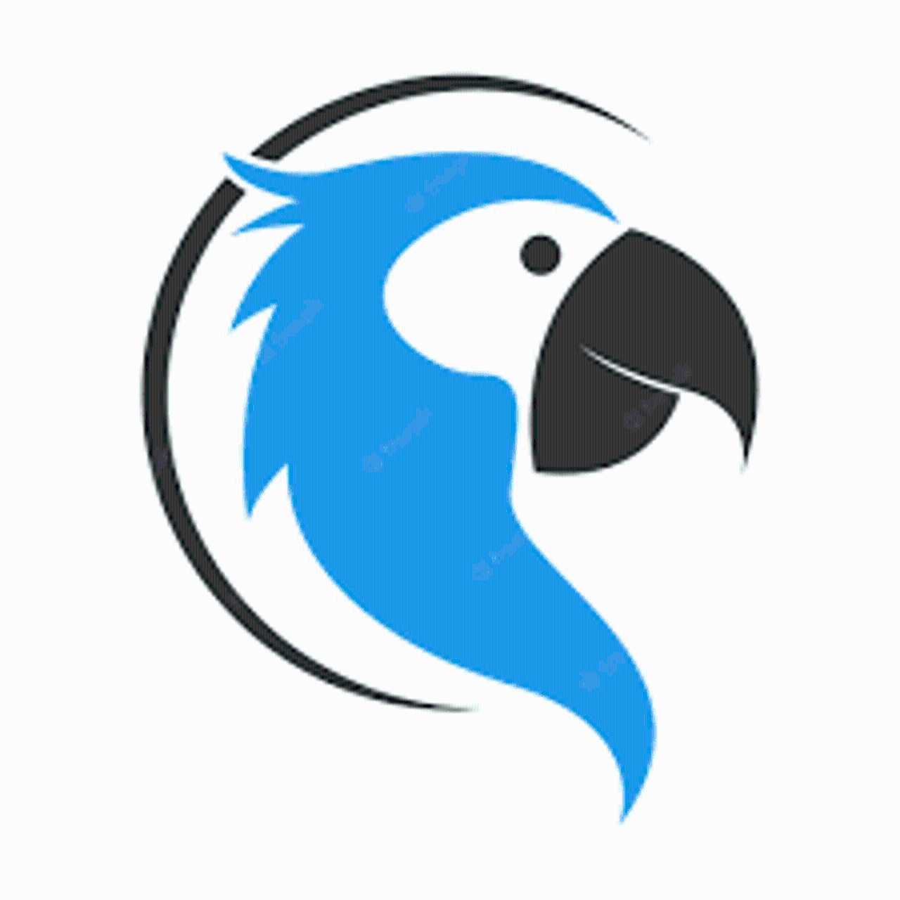 The Blue Parrot At Hampton Beach - Hampton Beach, NH