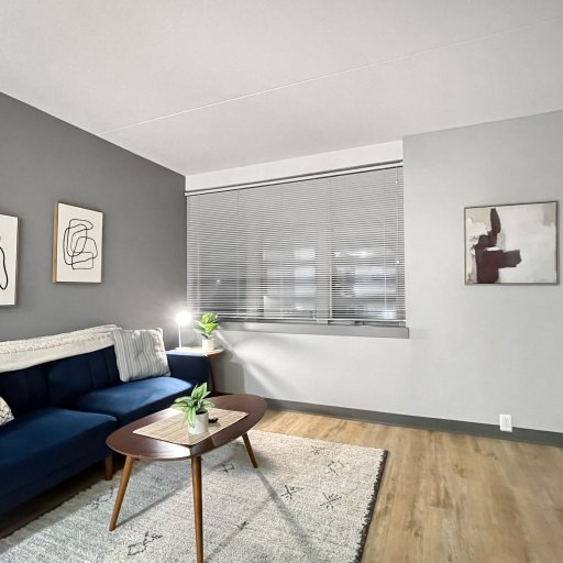 Cozy Living room - open to Kitchen - perfect spot for anything downtown.