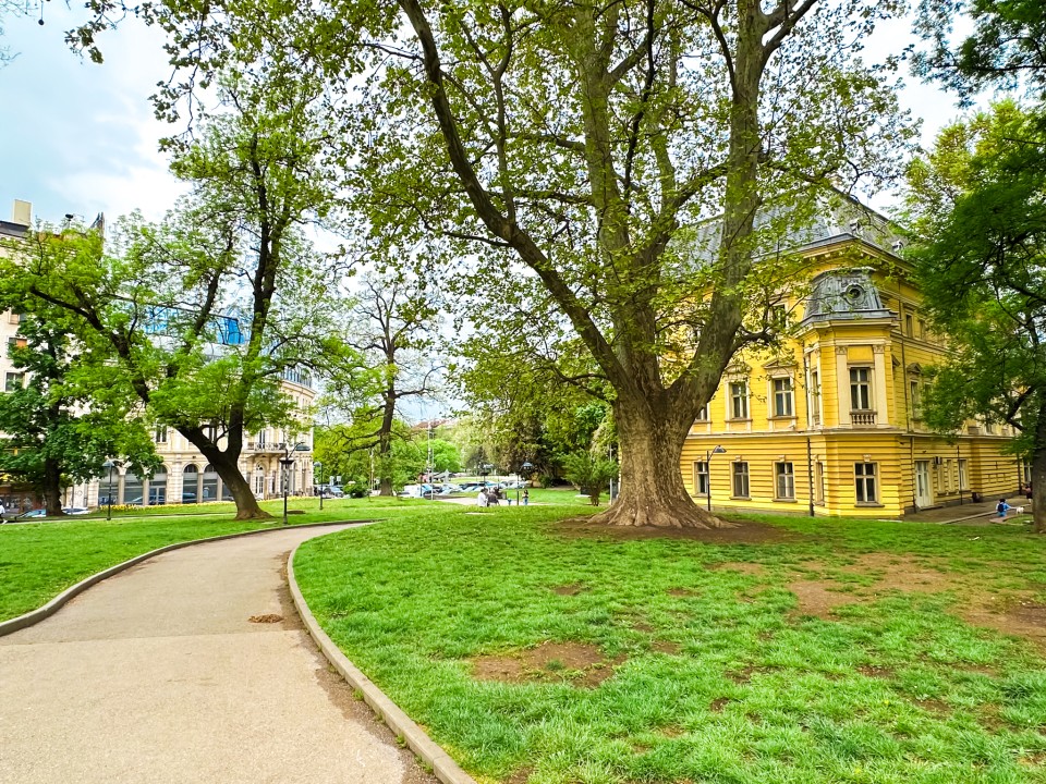 Property thumbnail 28