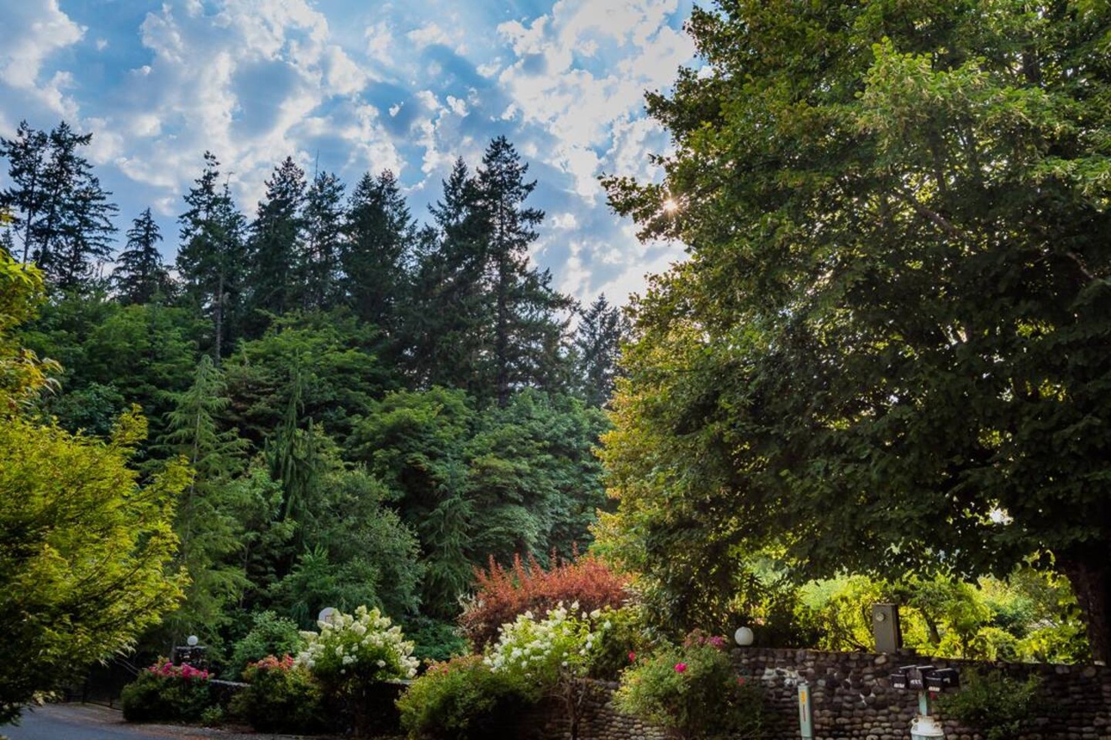Wisteria Hollow Cottage — photo 44